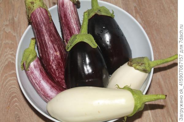 на любой вкус