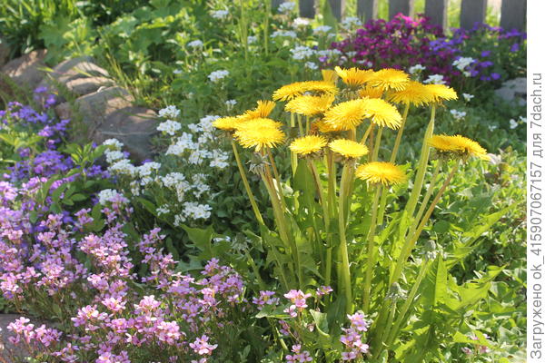 Пожалела и оставила.