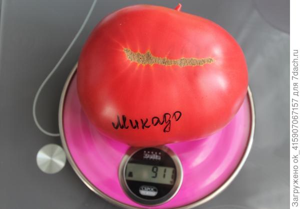 Микадо