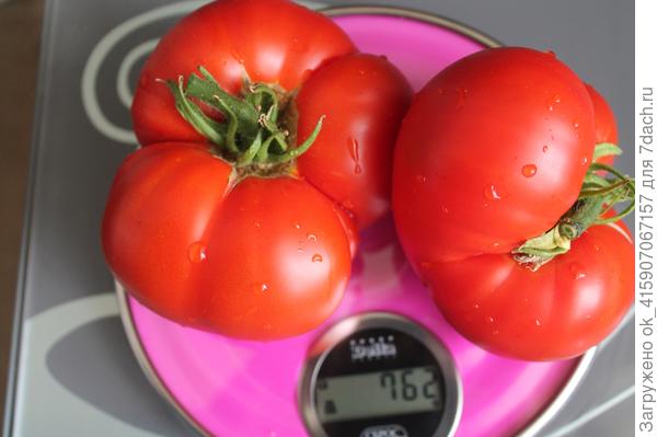 21 июня прошлого года