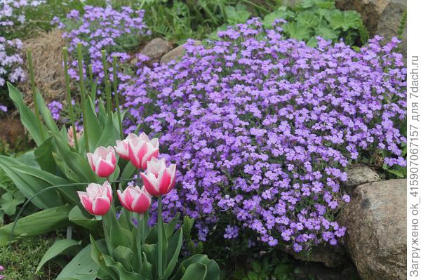 Уже было так