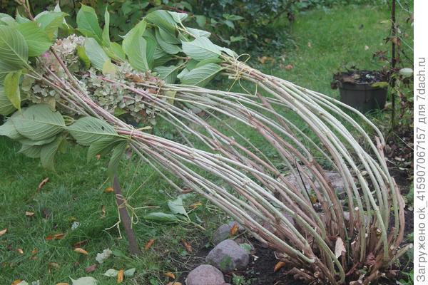 Начинаем пригибать.