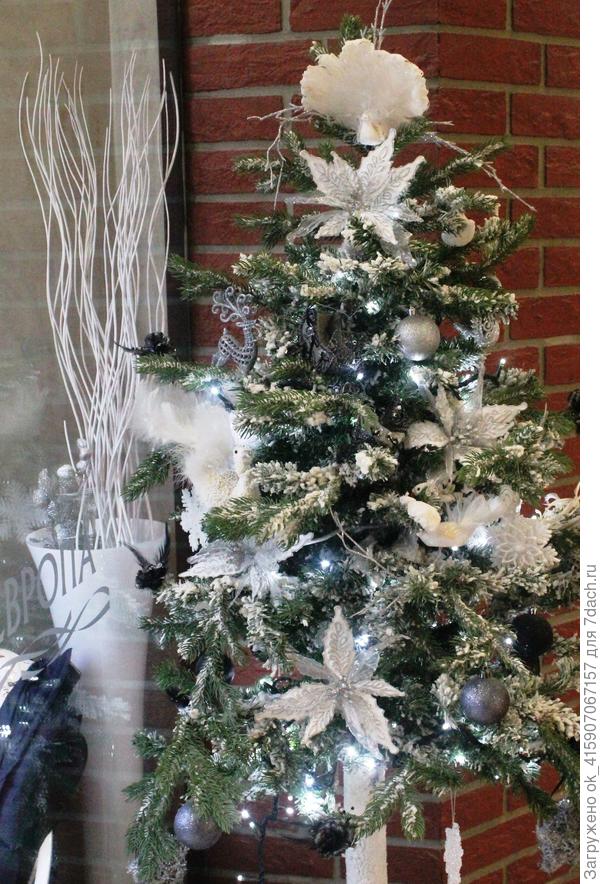 В магазине.