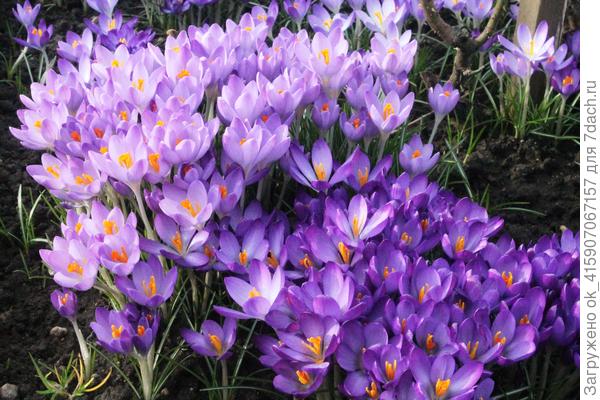 Весна пришла!