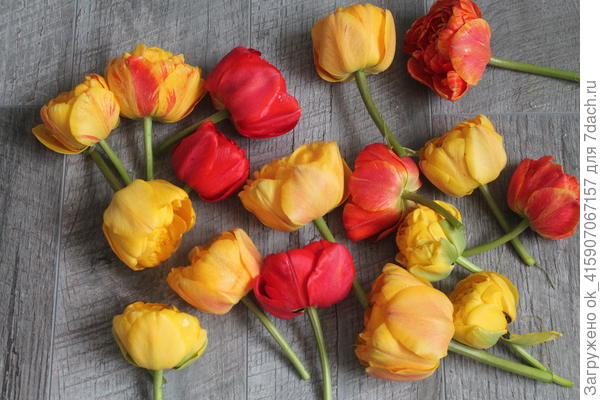 После дождя.