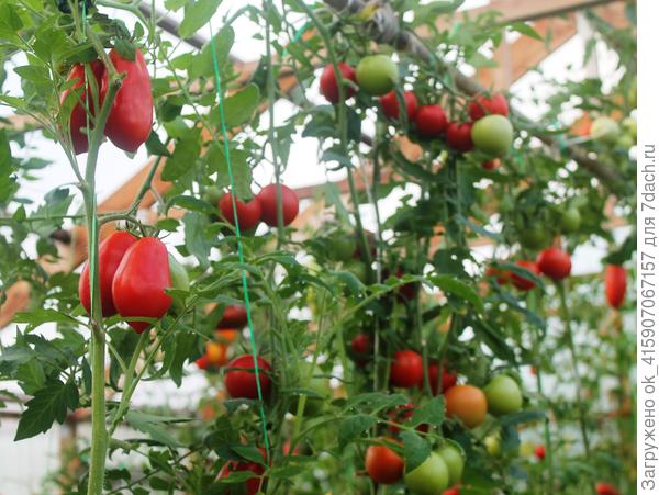 Уже банки закончились....