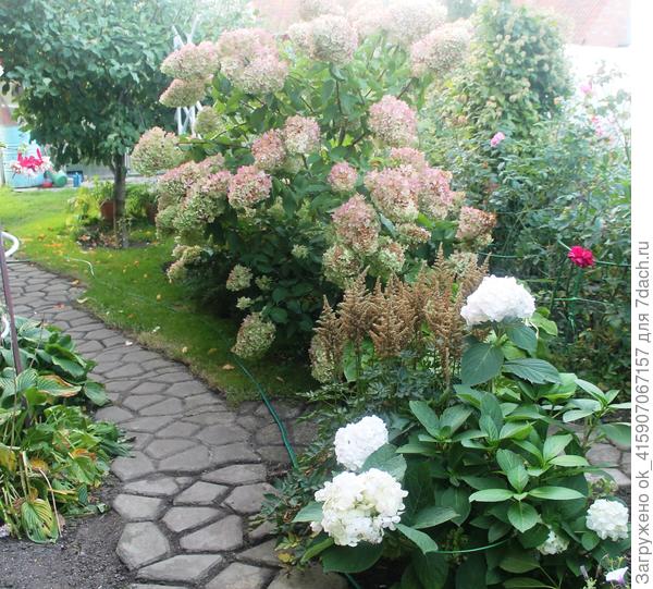 Признаки осени