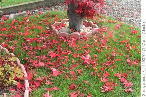 Листья красок добавляют.