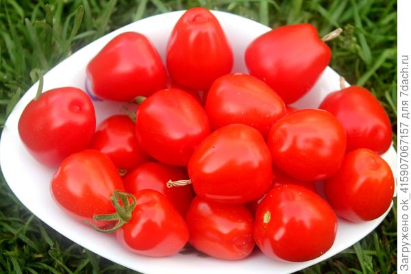 Черри Клубничка.