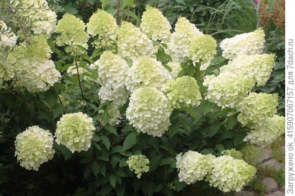 Когда был помладше.