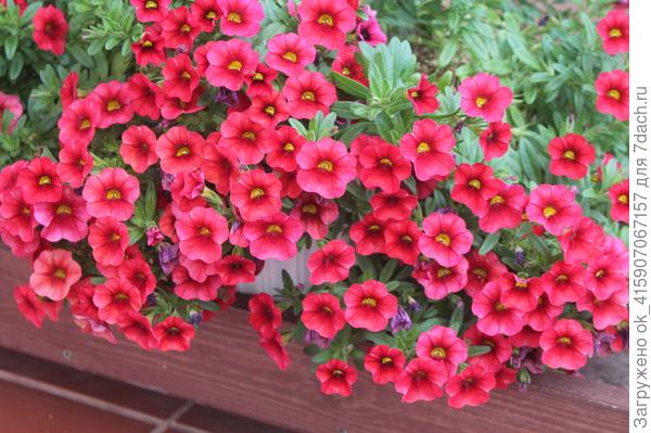 Начало октября