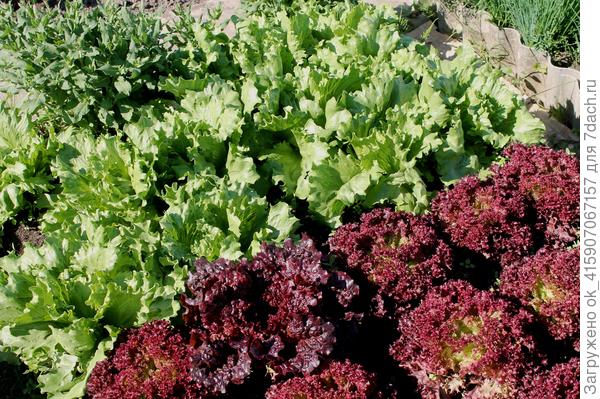 Середина мая.