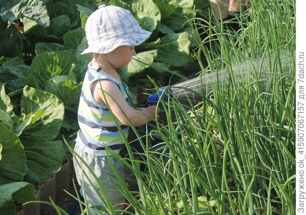 Полив нельзя пропустить