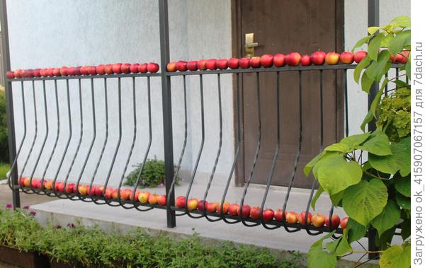 Очередь стать начинкой в пирогах