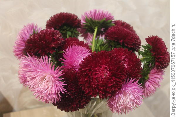 На фото не совсем цвет совпадает.