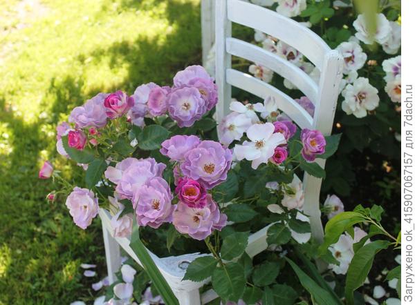 Рушана, примерно так.