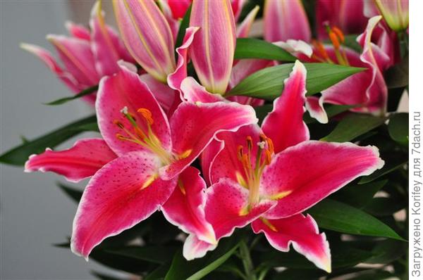 After Eight_DSC_0355