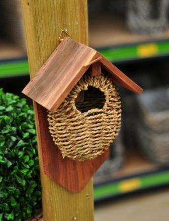 Подскажите, пожалуйста, что это за растение?