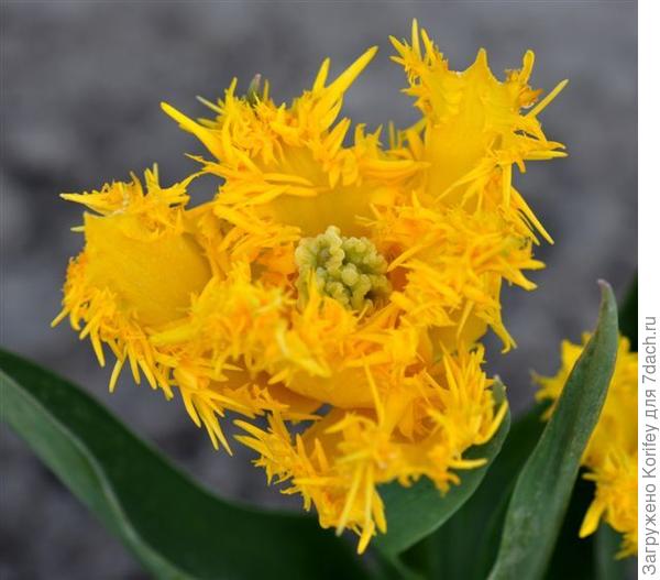 Business Class_DSC_0036