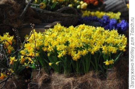 Tete-a-Tete_DSC_0133_sm