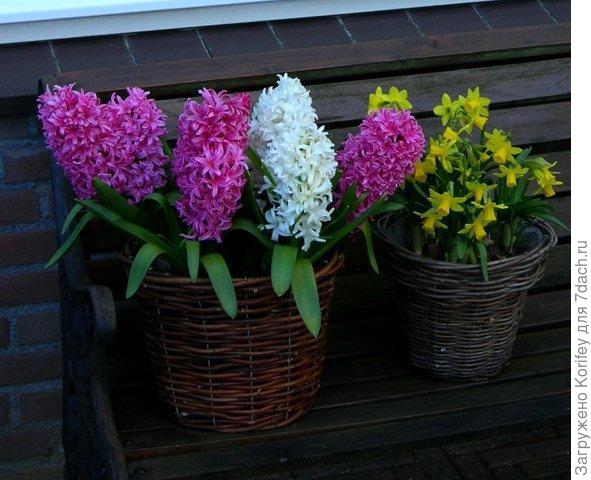 Anna Liza &amp;  Top White_DSCN6354_2