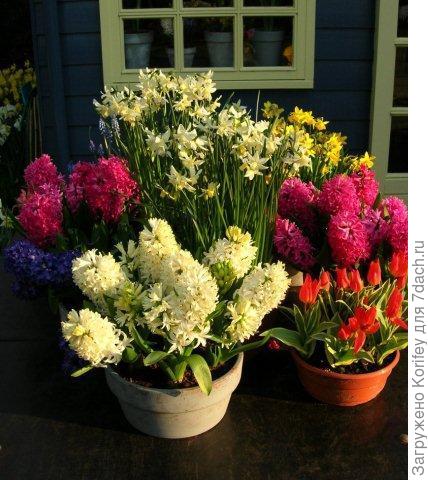 Aiolos &amp; Amsterdam_DSCN4962