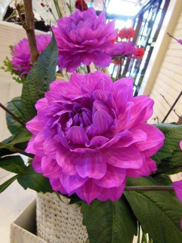 Karma Lagoon_DSCN2887 (2)