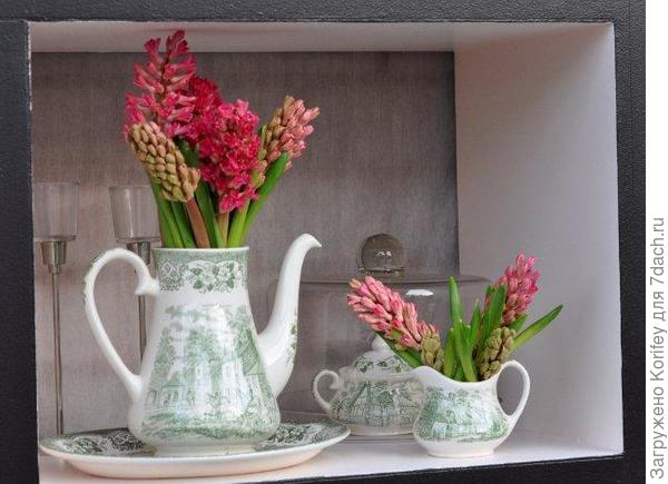 Коралловые гиацинты