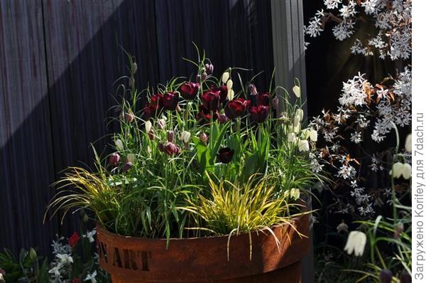 Оформление балконов и террас 6