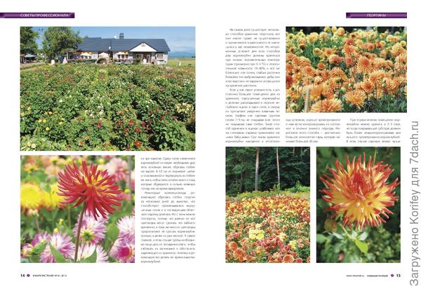 Второй разворот