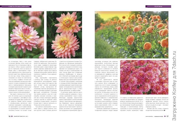 Последний разворот