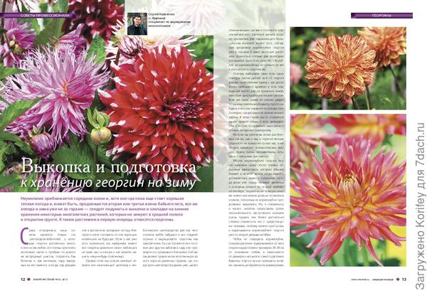 Первый разворот статьи