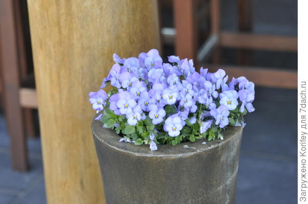 Так вполне можно добавить цвета на любом, самом маленьком участке