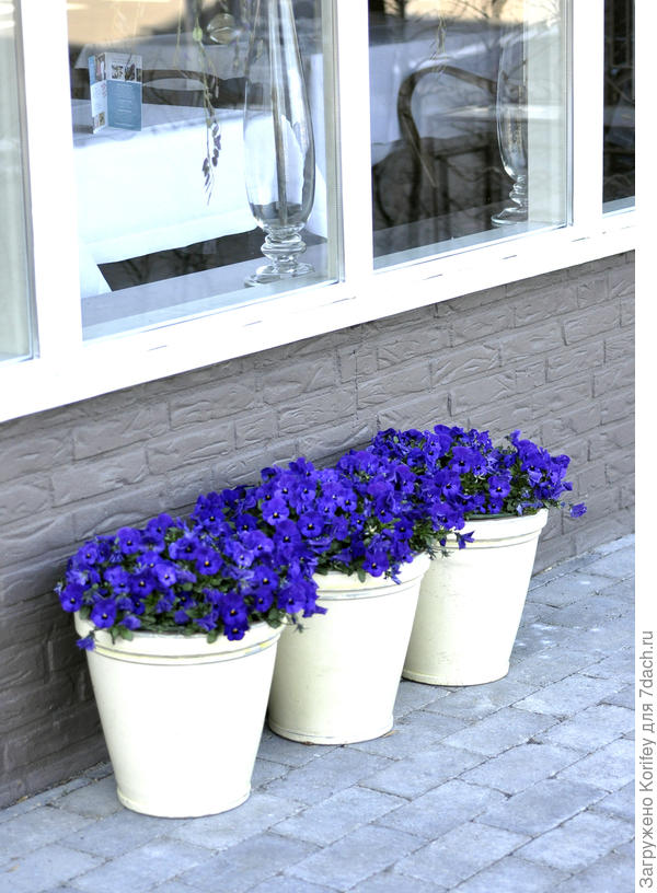 Или вот так