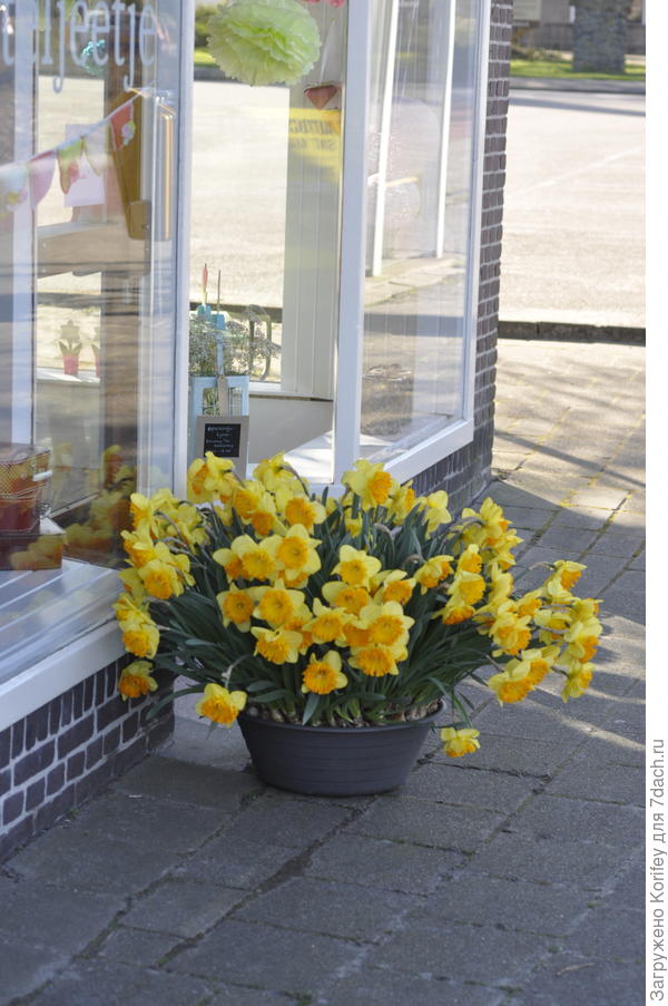 Ну или вот так