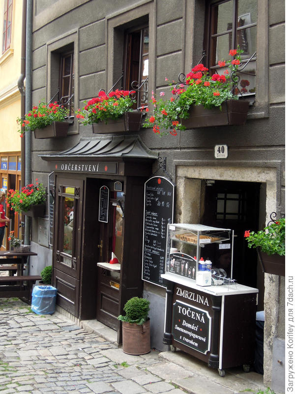 Герань практически на каждом окошке