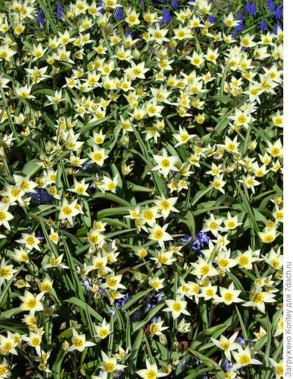 Он же в массовой посадке