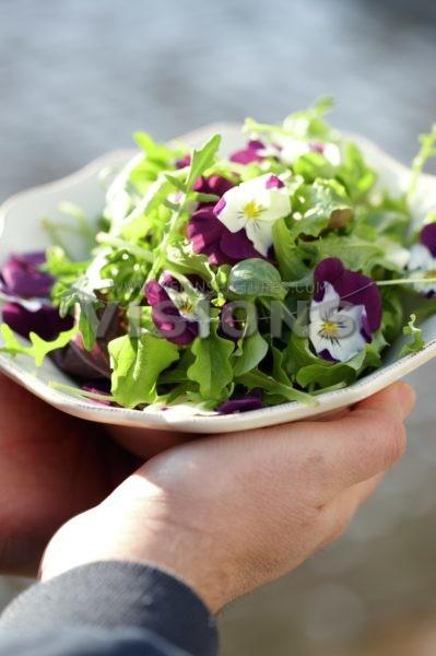 Фото с сайта www.visionspictures.com