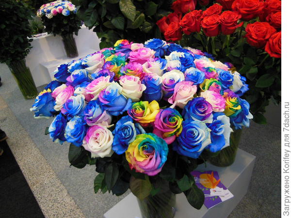 А бывают и просто крашенные )))))