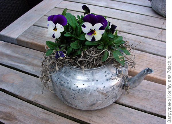 Атак можно использовать старый электрический чайник