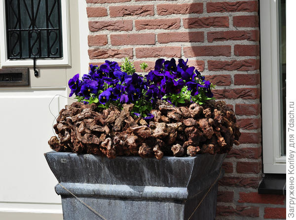 Тоже один сорт,нос добавлением коры