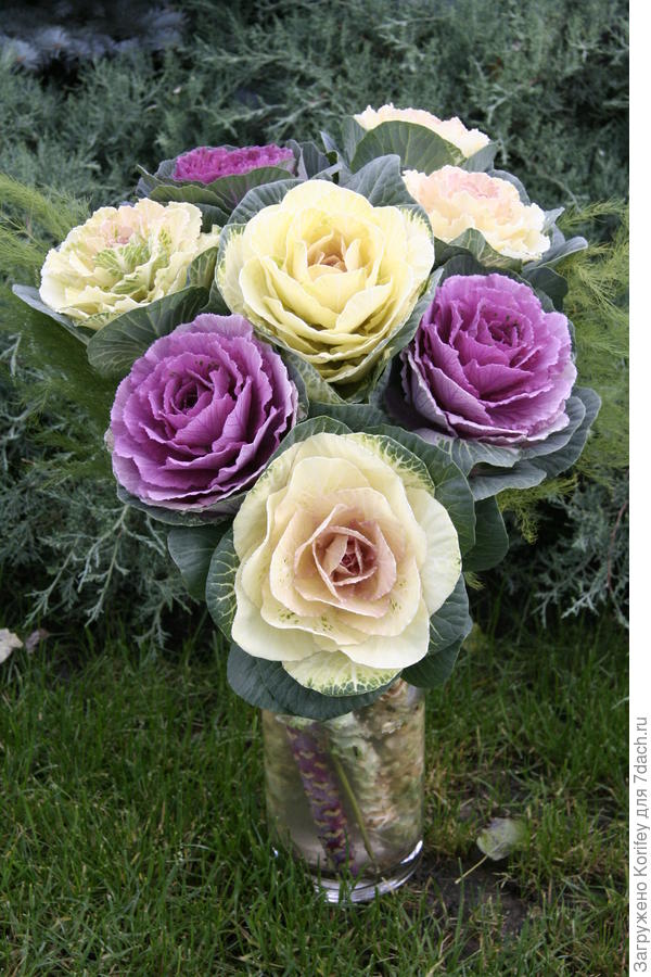 Вот такой букет получается осенью