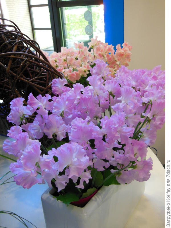 Он сейчас, кстати, бывает и срезочным