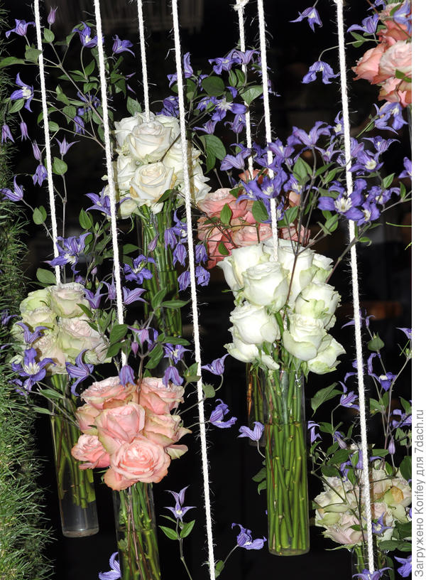 Тоже срезочные сорта клематисов