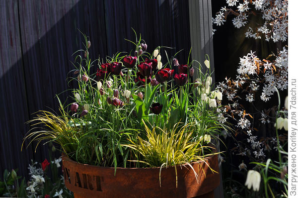 Даже старую ржавую бочку, стоящую в углу садового участка и то, можно с умом и красиво использовать