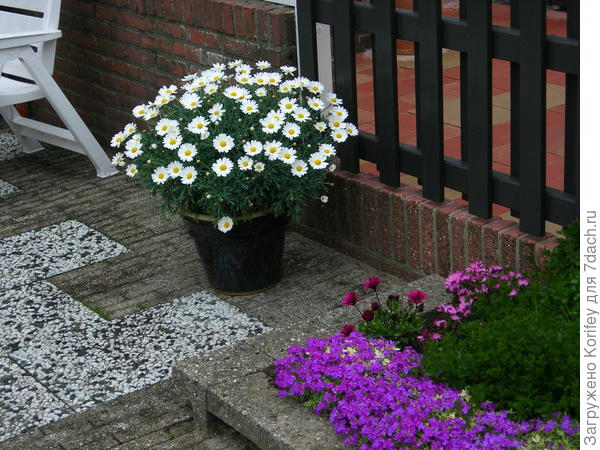 Оформление тоже без особых затей