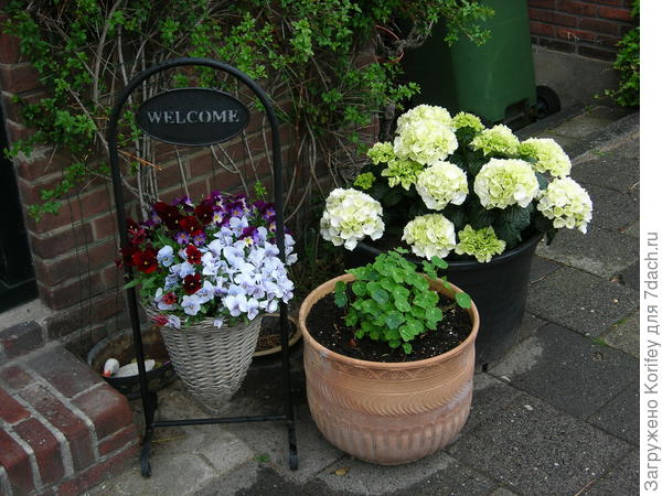 Даже этот вариант не так уж и сложен