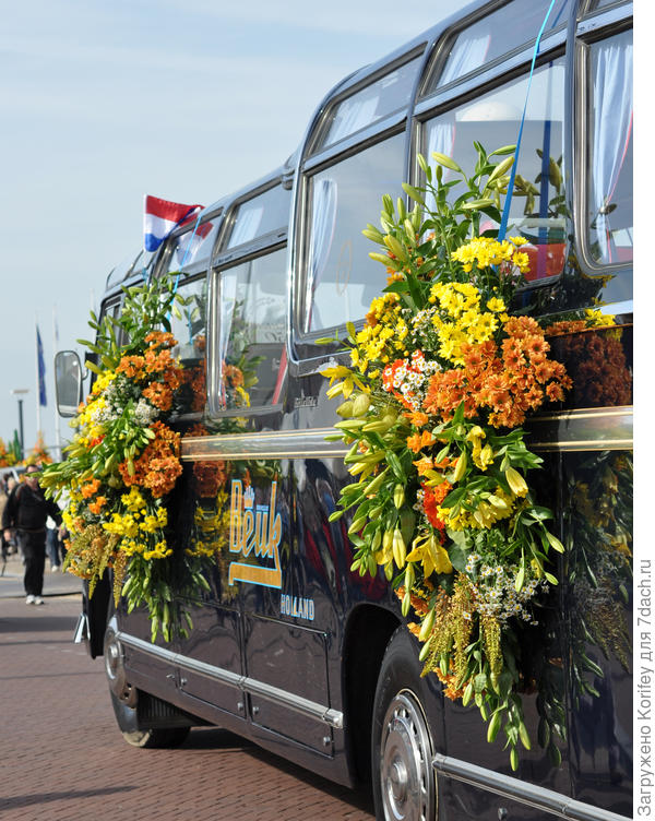 Цветами украшен даже автобус Бьюик