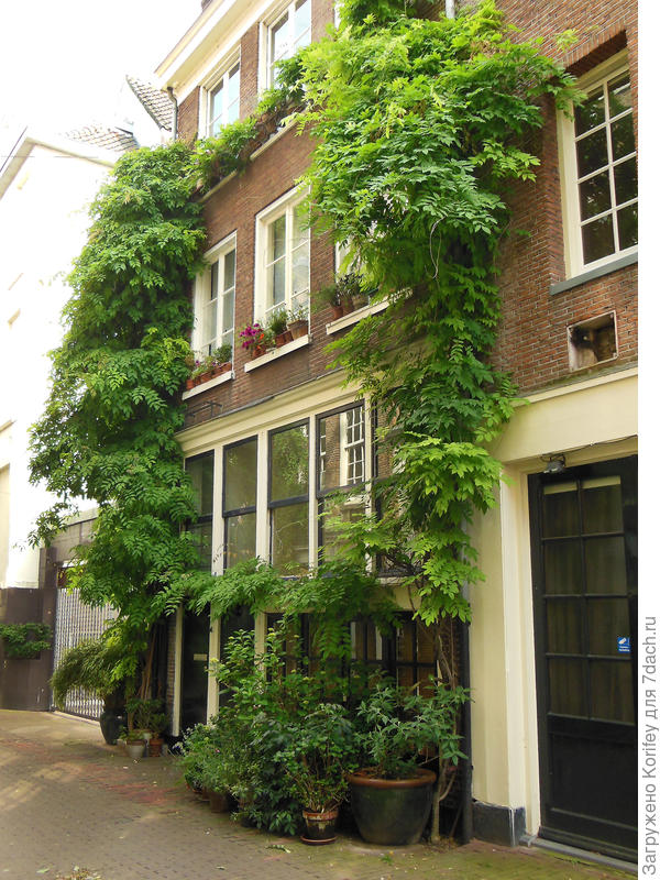 А можно и так украсить свой дом, свою небольшую &quot;крепость&quot;