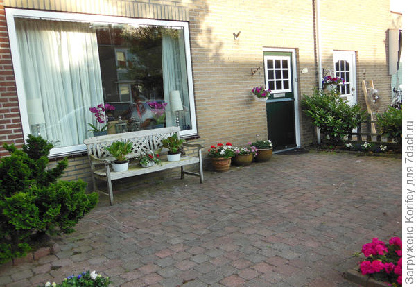 Опять большое светлое окно с красивыми орхидеями, несколько стильных горшков у входа в дом и в калитку, на лавочке и вдоль забора